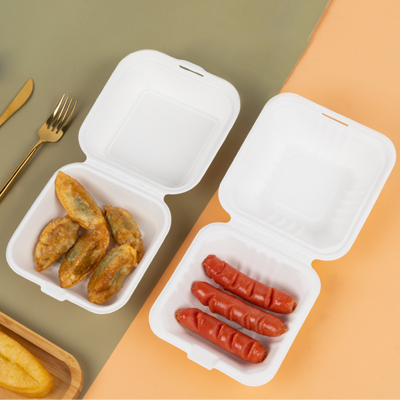 LOKYO Burger Box Sugarcane Pulp