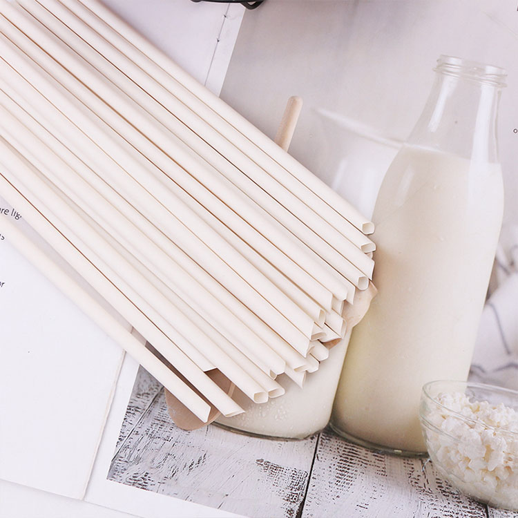 Disposable Bamboo Fiber Straw