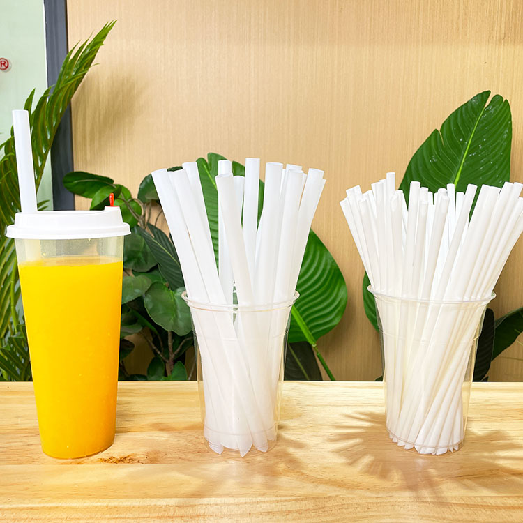 Biodegradable PLA Drinking Straws Wholesale