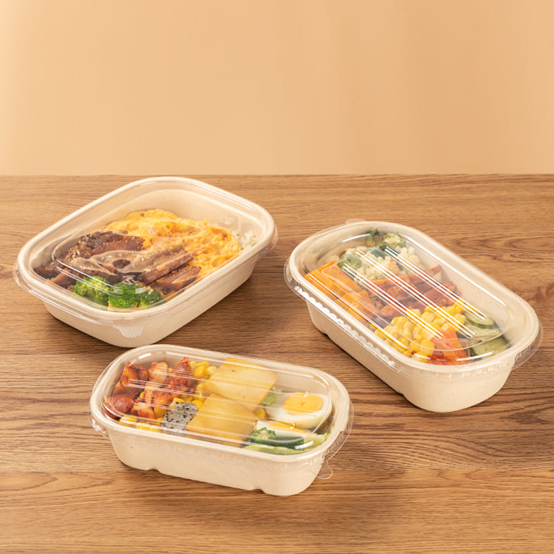 eco friendly food storage containers